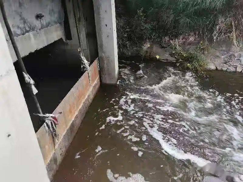 生物毒性檢測(cè)儀可以檢測(cè)什么 生物毒性檢測(cè)儀可以檢測(cè)什么