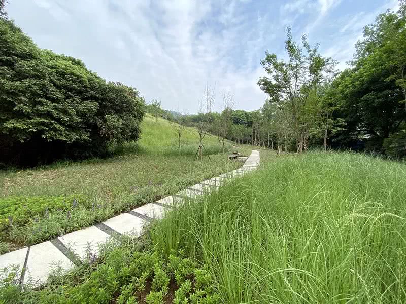 環境監測站節省成本、提**率