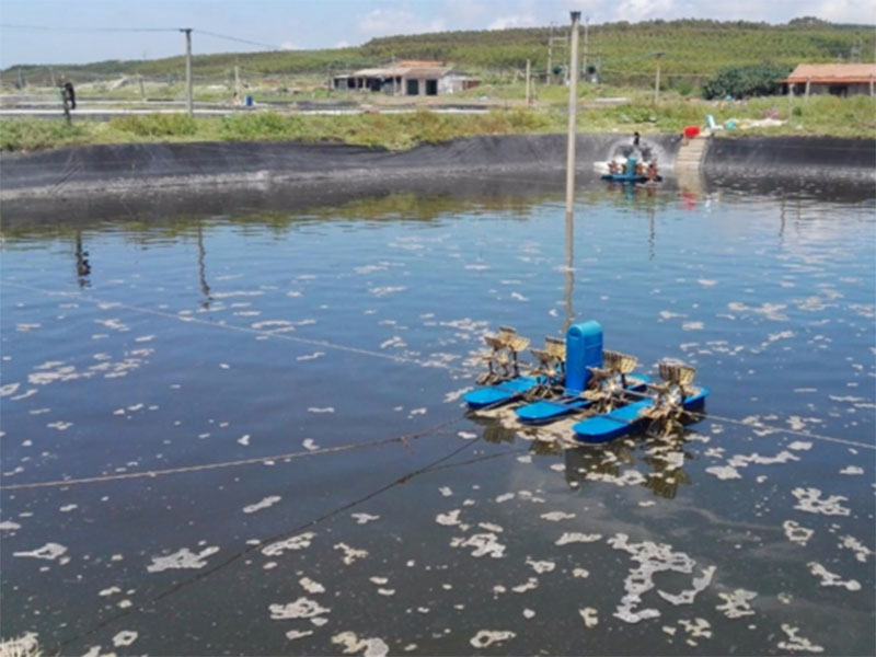 水中亞硝酸鹽含量過高對養(yǎng)殖有什么影響 水中亞硝酸鹽含量過高對養(yǎng)殖有什么影響