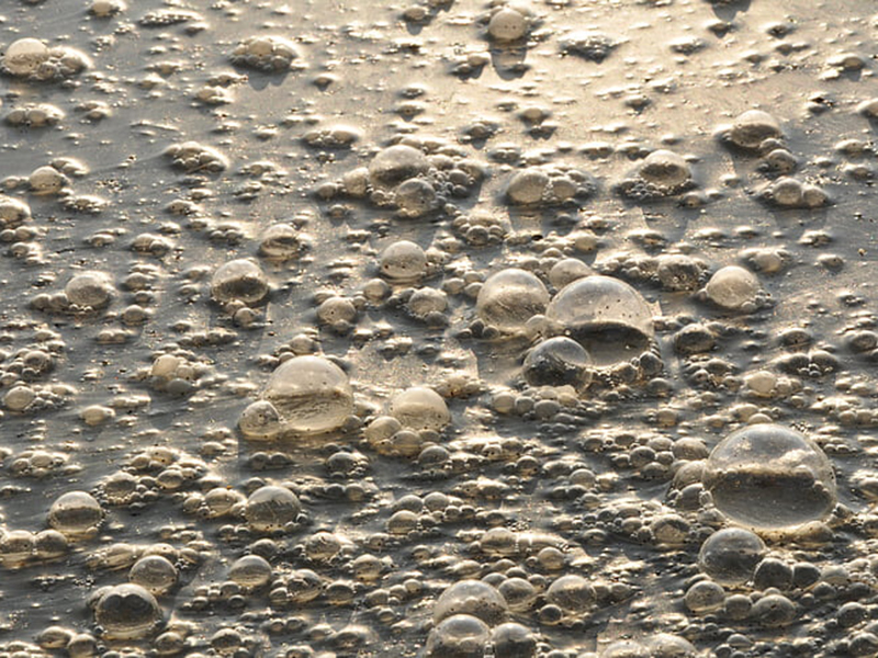 檢測工業污水可以用在線氨氮檢測儀嗎？