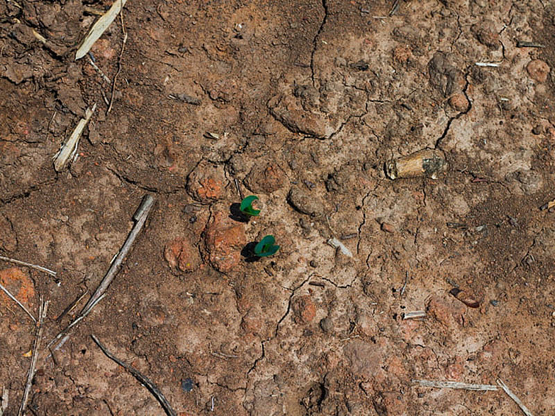 土壤肥料養(yǎng)分檢測(cè)儀可減少肥料引起的環(huán)境污染