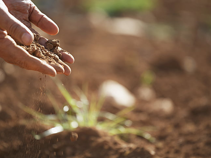 如何檢測土壤重金屬是否超標 如何檢測土壤重金屬是否超標