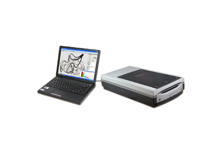 植物根系圖像分析儀，可分析根系面積