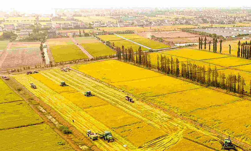 蔬菜農藥殘留檢測儀 蔬菜農藥殘留檢測儀