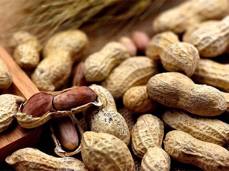 怎樣檢測(cè)食物中的黃曲霉毒素 怎樣檢測(cè)食物中的黃曲霉毒素