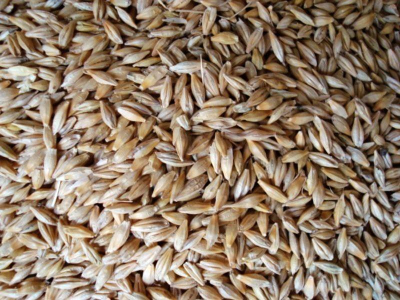 糧食重金屬檢測(cè)儀,滿足現(xiàn)場(chǎng)檢測(cè)需求 糧食重金屬檢測(cè)儀,滿足現(xiàn)場(chǎng)檢測(cè)需求