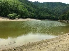 水產(chǎn)養(yǎng)殖檢測儀,為水源保護(hù)提供精準(zhǔn)數(shù)據(jù)