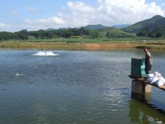 水產(chǎn)養(yǎng)殖檢測(cè)儀，為水產(chǎn)提供優(yōu)良的生長(zhǎng)環(huán)境