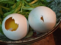 雞蛋中會(huì)含有哪些藥物殘留？