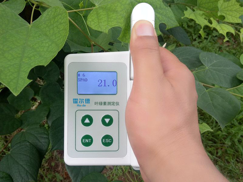 葉綠素含量測量儀，可用于植物施肥的依據